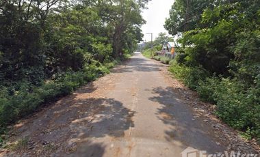 Land for sale in Nong Chom, Chiang Mai