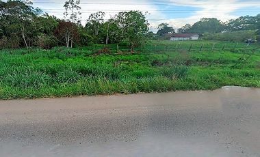 Terrenos Agricolas Venta CAR. Federico Basadre - CAMPOVERDE