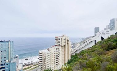 Departamento Renaca bajo ID: 164142r