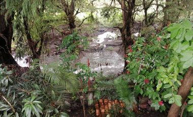 ¡ VENTA DE INCREIBLE PROPIEDAD EN CONTACTO CON LA NATURALEZA !