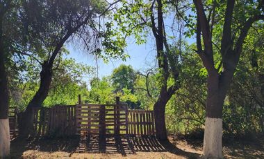 SAN JOAQUIN / LOTEO LAS PERDICES /  LA FLORDA