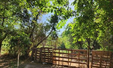 SAN JOAQUIN / LOTEO LAS PERDICES /  LA FLORDA