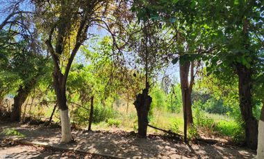 SAN JOAQUIN / LOTEO LAS PERDICES /  LA FLORDA