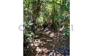 SE VENDE PARCELA EN SANTO DOMINGO - MATANZAS