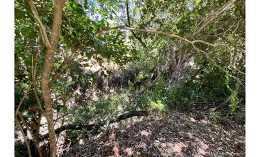 SE VENDE PARCELA EN SANTO DOMINGO - MATANZAS