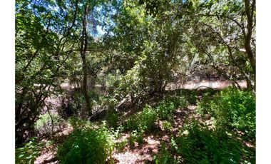 SE VENDE PARCELA EN SANTO DOMINGO - MATANZAS