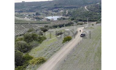 SE VENDE PARCELA EN SANTO DOMINGO - MATANZAS