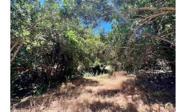 SE VENDE PARCELA EN SANTO DOMINGO - MATANZAS