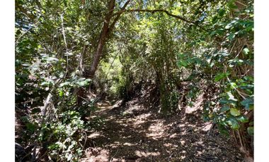 SE VENDE PARCELA EN SANTO DOMINGO - MATANZAS