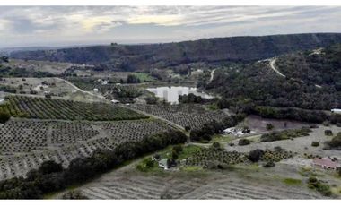 SE VENDE PARCELA EN SANTO DOMINGO - MATANZAS