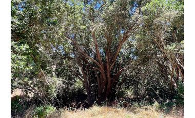 SE VENDE PARCELA EN SANTO DOMINGO - MATANZAS