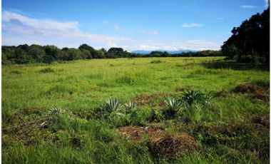 SE VENDE TERRENO DE PLAYA EN RIO HATO 4.2 Has