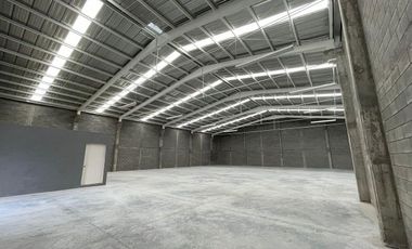 Bodega en RENTA en el Palmar Santa Catarina