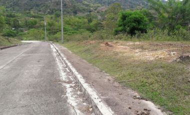 Overlooking 204 Sqm Lot for Sale near Talamban Cebu City with Mountain View
