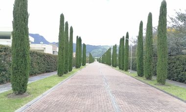 casa campestre en arriendo/venta en vía sopo. Cod A9344353