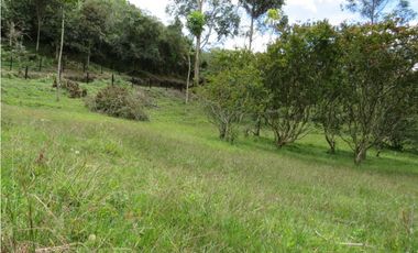 Lote en venta,Oriente antioqueño, Marinilla,