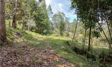 Lote en venta,Oriente antioqueño, Marinilla,