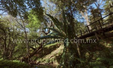 TERRENO CAMPESTRE RESERVA SAN GREGORIO, CONCEPCIÓN DE BUENOS AIRES