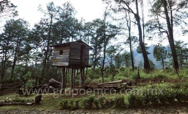 TERRENO CAMPESTRE RESERVA SAN GREGORIO, CONCEPCIÓN DE BUENOS AIRES
