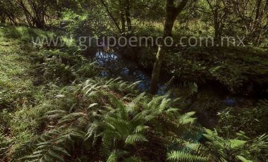 TERRENO CAMPESTRE RESERVA SAN GREGORIO, CONCEPCIÓN DE BUENOS AIRES