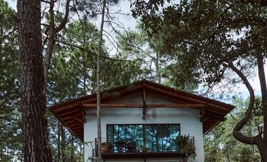 TERRENO CAMPESTRE RESERVA SAN GREGORIO, CONCEPCIÓN DE BUENOS AIRES