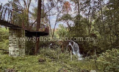 TERRENO CAMPESTRE RESERVA SAN GREGORIO, CONCEPCIÓN DE BUENOS AIRES