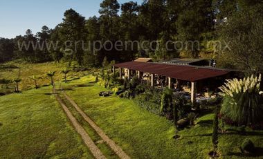 TERRENO CAMPESTRE RESERVA SAN GREGORIO, CONCEPCIÓN DE BUENOS AIRES