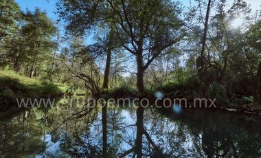 TERRENO CAMPESTRE RESERVA SAN GREGORIO, CONCEPCIÓN DE BUENOS AIRES
