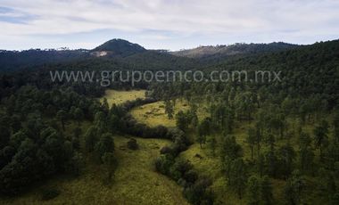 TERRENO CAMPESTRE RESERVA SAN GREGORIO, CONCEPCIÓN DE BUENOS AIRES