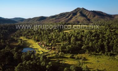 TERRENO CAMPESTRE RESERVA SAN GREGORIO, CONCEPCIÓN DE BUENOS AIRES