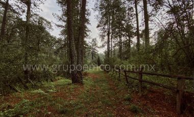 TERRENO CAMPESTRE RESERVA SAN GREGORIO, CONCEPCIÓN DE BUENOS AIRES