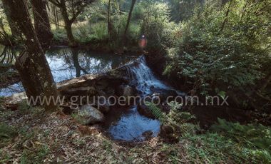 TERRENO CAMPESTRE RESERVA SAN GREGORIO, CONCEPCIÓN DE BUENOS AIRES