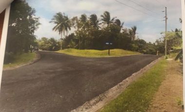 LEISURE FARMS LOT FOR SALE IN LEMERY BATANGAS