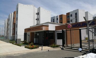 apartamento en venta en terranova. Cod V106882