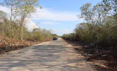 Terreno carretera Mérida-Motul en Venta.