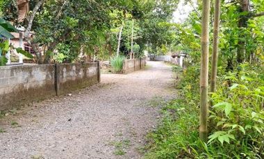 rumah dijual super murah minggir sleman jogja