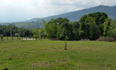 Lote en El Cerrito - Valle del Cauca