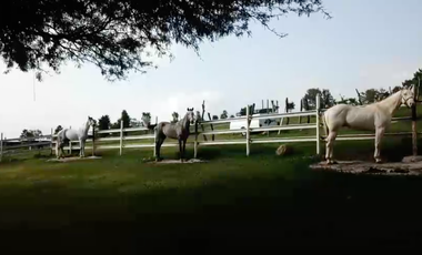 Gran rancho en Tlajomulco