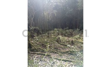 Parcela en Chonchi - Oportunidad de Inversión