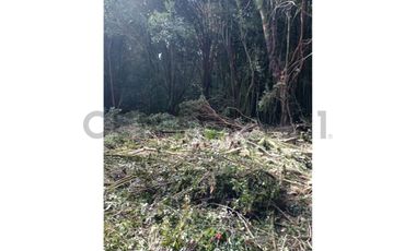 Parcela en Chonchi - Oportunidad de Inversión