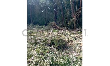 Parcela en Chonchi - Oportunidad de Inversión