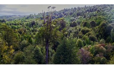 Parcela en Chonchi - Oportunidad de Inversión