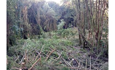 Parcela en Chonchi - Oportunidad de Inversión