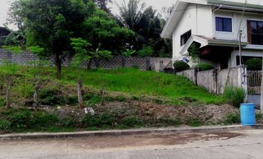 160 Sqm Elevated Residential Lot for Sale near Talamban Cebu City