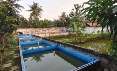 Dijual Cepat Murah Rumah Tanah Luas Di Tanah Sareal