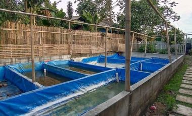 Dijual Cepat Murah Rumah Tanah Luas Di Tanah Sareal