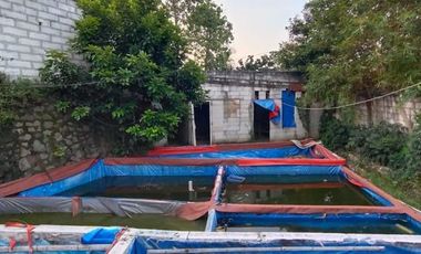 Dijual Cepat Murah Rumah Tanah Luas Di Tanah Sareal