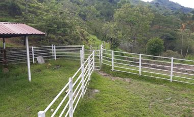finca en venta en la virginia. Cod V17394