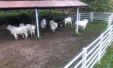 finca en venta en la virginia. Cod V17394