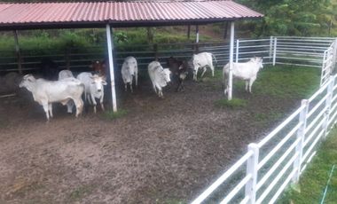 finca en venta en la virginia. Cod V17394